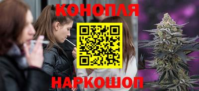 стаф Моздок