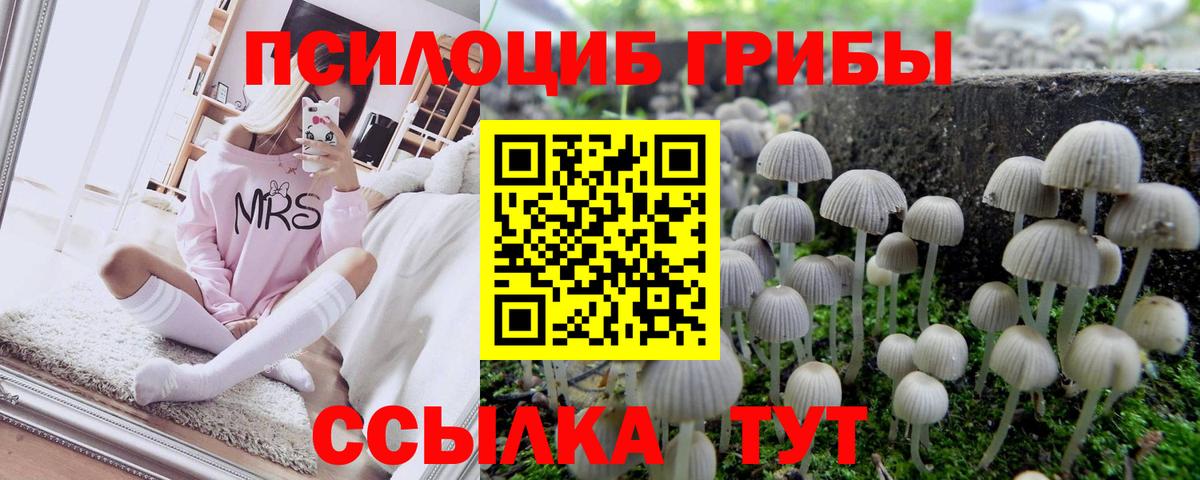 Галлюциногенные грибы Psilocybine cubensis  Псилоцибиновые грибы MAGIC MUSHROOMS  Вход с VPN  Великие Луки 